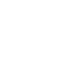White Calender icon